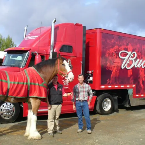 Dr. Browning standing next to budweiser truck with clydesdale